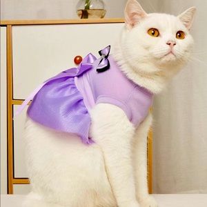 Purple dress for pets ❤️